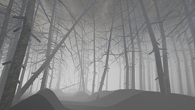 NEVER TURN BACK - Chapter 2: The Forest