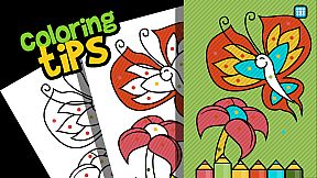 Discovering Colors - Animals