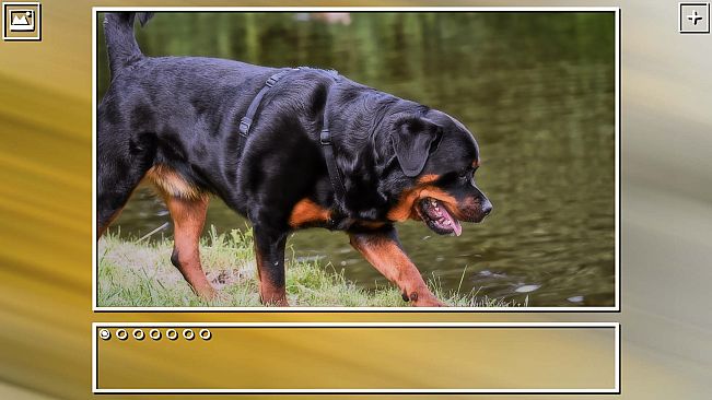 Super Jigsaw Puzzle: Generations - Dogs Puzzles