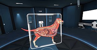 Animal Anatomy VR