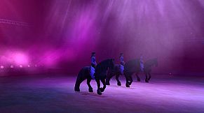 EquiMagic - Galashow of Horses