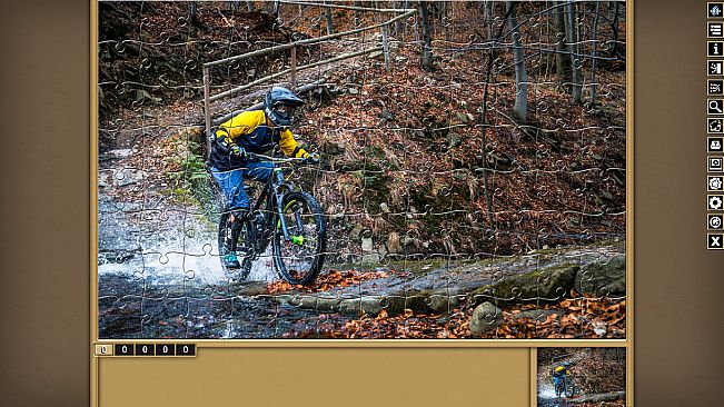 Pixel Puzzles Traditional Jigsaw Puzzles