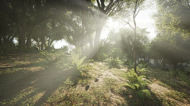 Beyond Enemy Lines - Vietnam