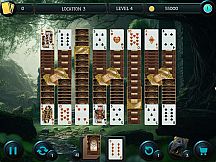 Mystery Solitaire. The Black Raven 5