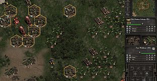 Warhammer 40,000: Armageddon - Ork Hunters