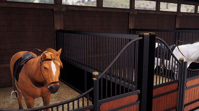 Derby Life: Ranch & Race