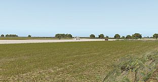 X-Plane 11 - Add-on: Aerosoft Airport Bonaire Flamingo