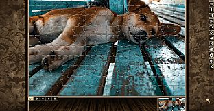 Pixel Puzzles Traditional Jigsaws Pack: Variety Pack 8