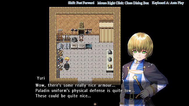 The paladin & The succubi servant