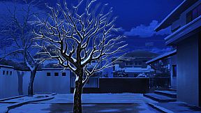 Dreaming in Cherry Blossoms, I Fall in Love with You