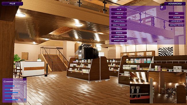 HOLLYWOOD DIRECTOR THE SIMULATION