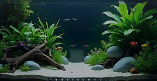 My Beautiful Aquarium