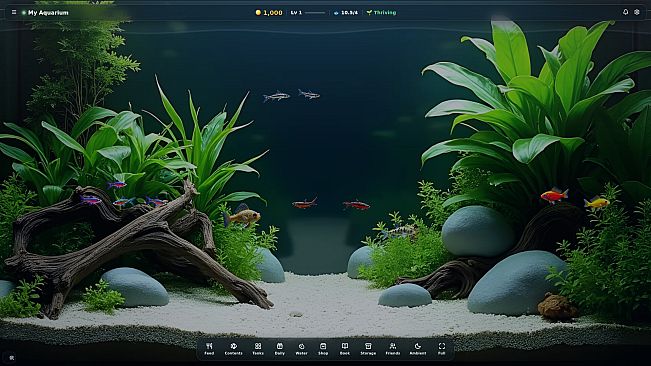 My Beautiful Aquarium