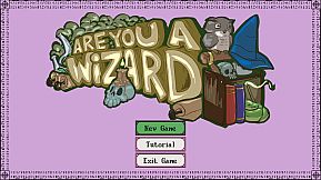 Are You A Wizard