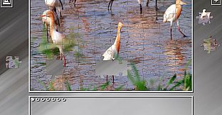 Super Jigsaw Puzzle: Generations - Malaysia