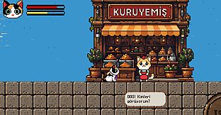 Catstanbul