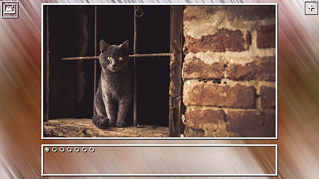 Super Jigsaw Puzzle: Generations - Cats Puzzles