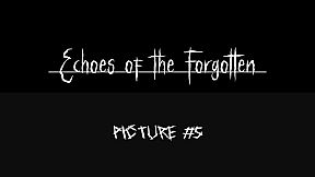 Echoes of the Forgotten