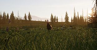 Next Hunting Adventure