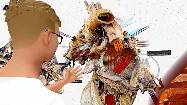 MEDICALHOLODECK. Surgery, Anatomy, Medicine, Education, and DICOM Imaging in VR. For Medical Students, Nurses, Doctors and Surgeons.