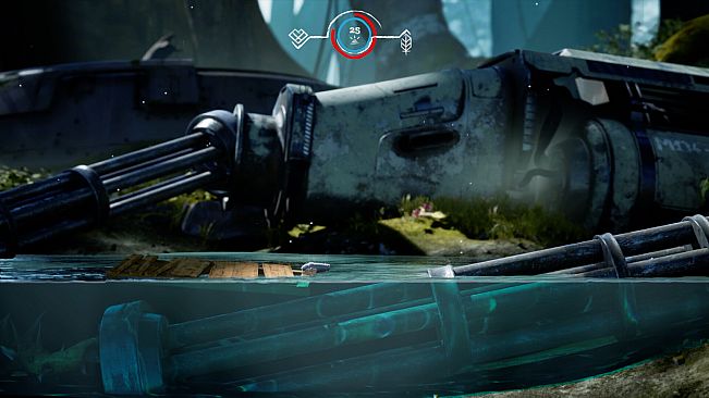 About Cannons & Sparrows