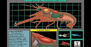 Undersea Adventure