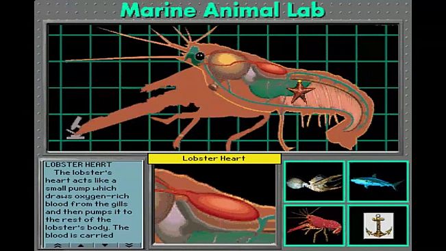 Undersea Adventure