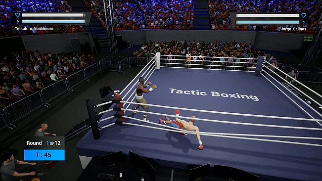 Tactic Boxing