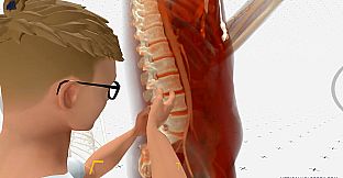 MEDICALHOLODECK. Surgery, Anatomy, Medicine, Education, and DICOM Imaging in VR. For Medical Students, Nurses, Doctors and Surgeons.