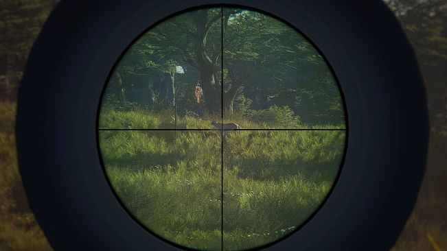 theHunter: Call of the Wild - Game Feeder Pack 2