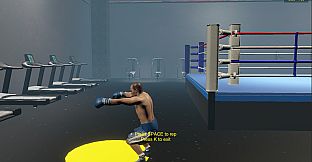 Boxing Life Simulator