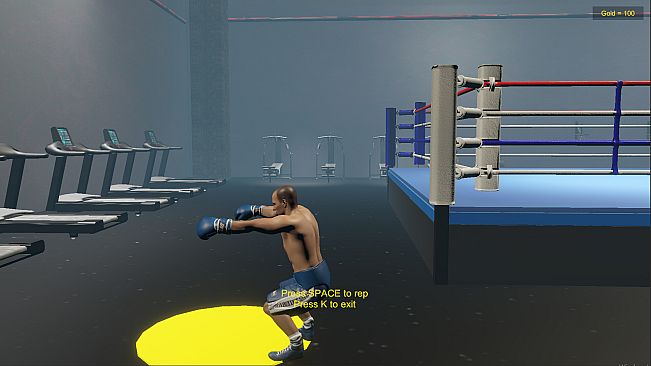 Boxing Life Simulator