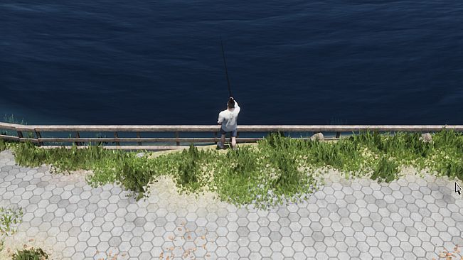 The Next Journey Of Life