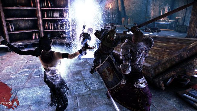 Dragon Age: Origins