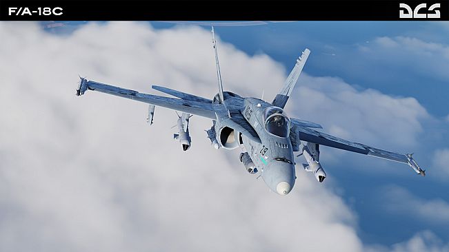 DCS: F/A-18C