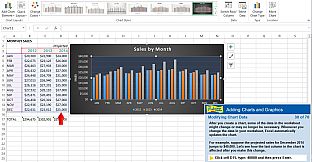 Professor Teaches Excel 2013 & 365