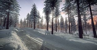 DiRT Rally 2.0 - Sweden (Rally Location)