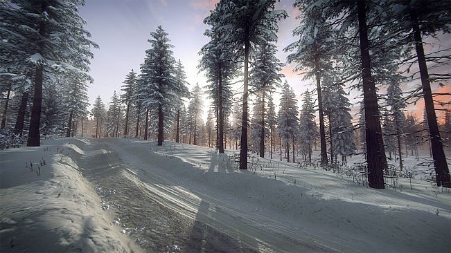 DiRT Rally 2.0 - Sweden (Rally Location)