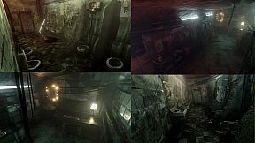 Injection π23 'Ars regia'