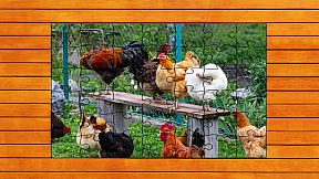 Farmyard Pals Jigsaw Puzzles