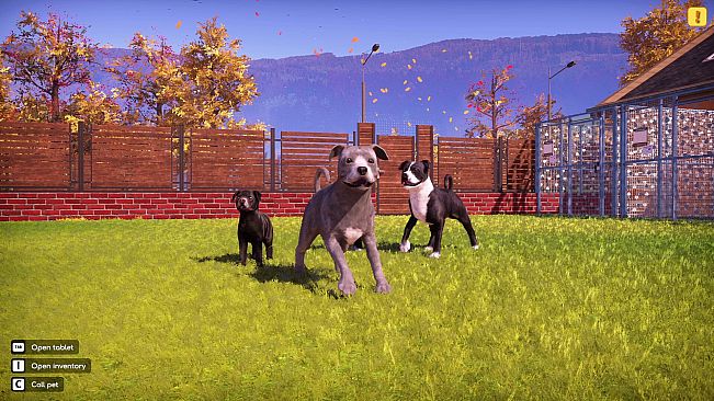 Animal Shelter 2 - Bull-Type Terriers Dogs Pack