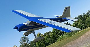 RealFlight Evolution - 2024 Year Content Pass