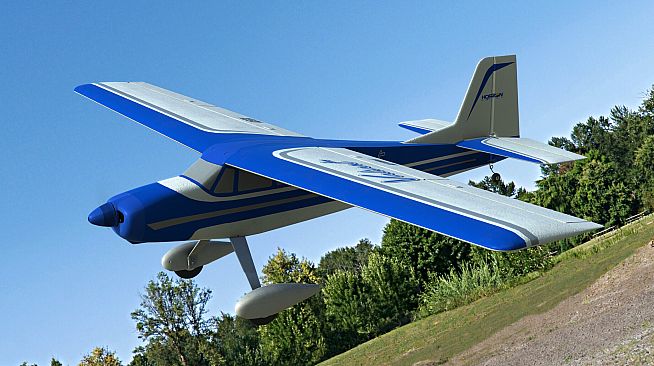 RealFlight Evolution - 2024 Year Content Pass