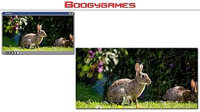Rabbit: Jigsaw Puzzles