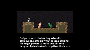 Run Jump Rabbit Turtle