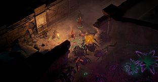 Pathfinder: Kingmaker — The Wildcards