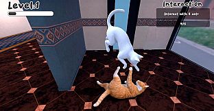 The Office Cat