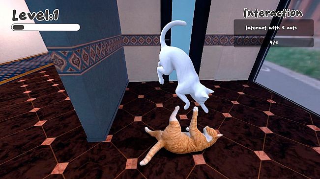 The Office Cat