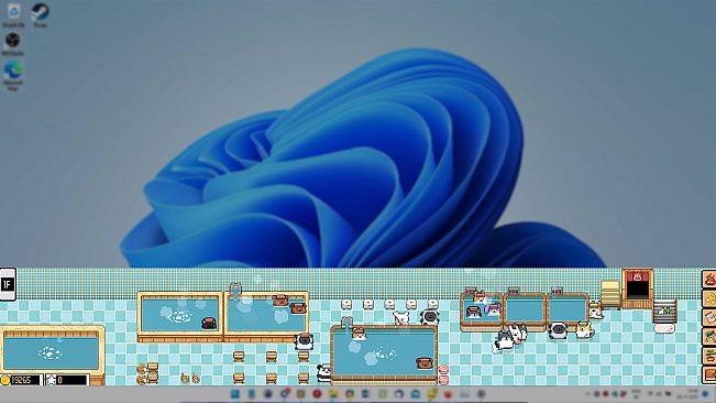 Maltese's Fluffy Onsen