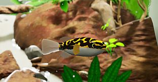 Fish Game - Indonesia Fish Pack 1